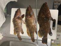 by:働かないガラス屋