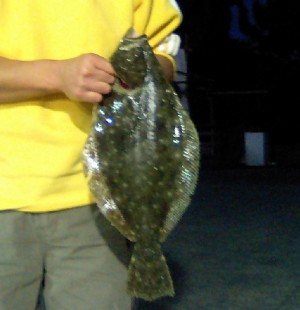 ヒラメ48cm