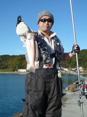 シロアマダイ30cm