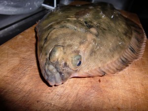 カレイ